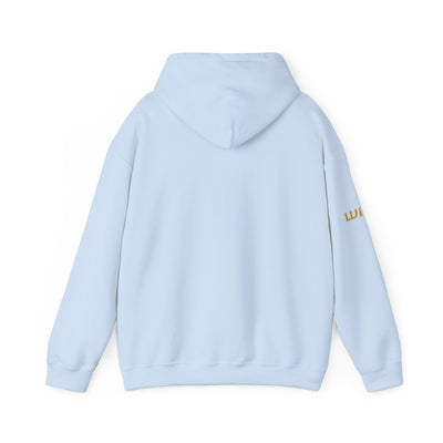 Weight It Out Hoodie — Gold and Silver Premium Sweatshirt