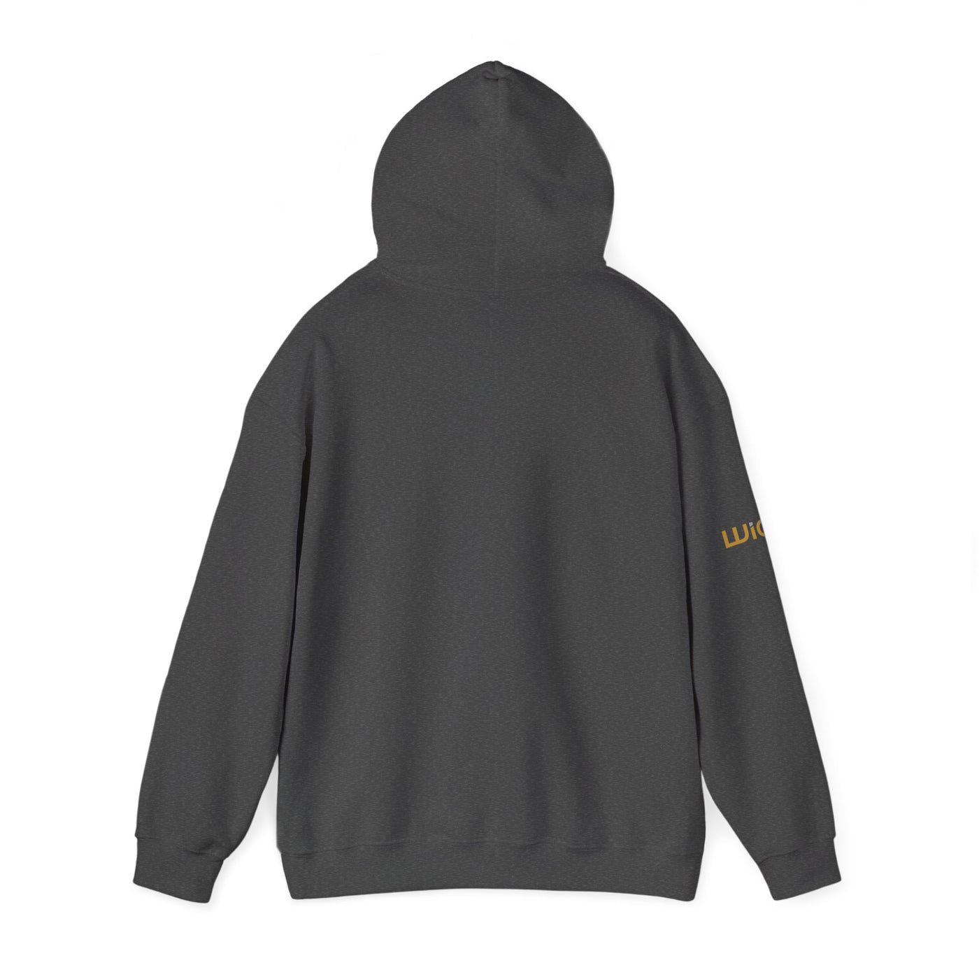 Weight It Out Hoodie — Gold and Silver Premium Sweatshirt