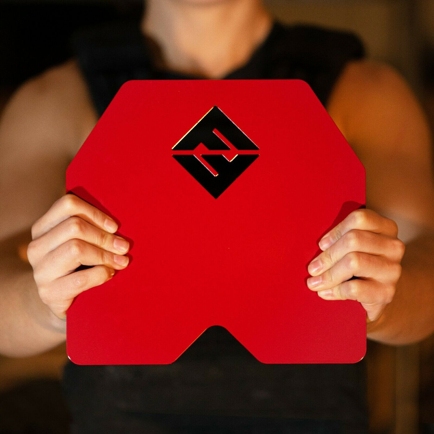 Weight Vest Plates - 5.75LB - 14lb Total Vest Weight