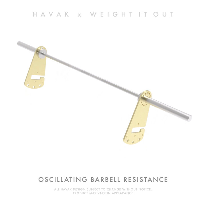 HAWK ホーク エコーユニット HR-15 HAWK ホーク エコーユニット HR-15