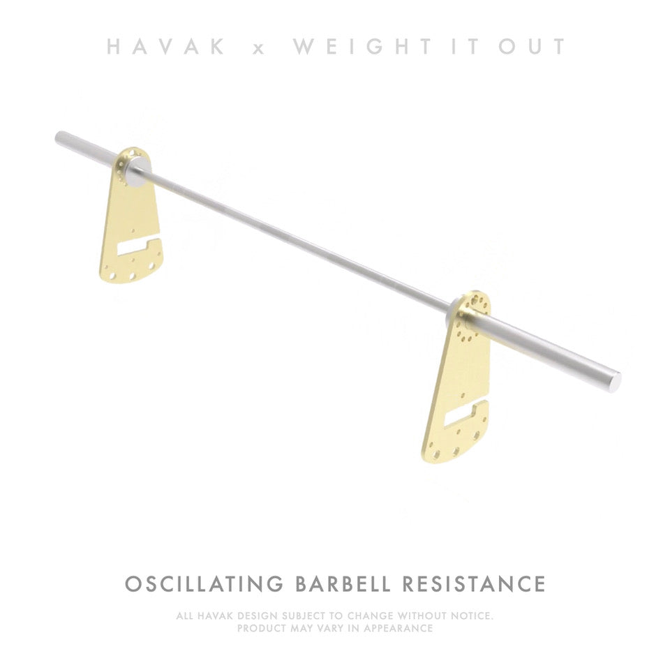 amount of weight steel hooks can hold Havak Hook 15 Pounds Solid Steel Pair